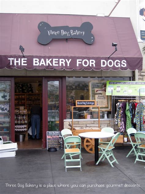 9@9: A bakery for your dog